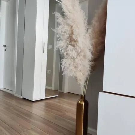Golden View Apartment
